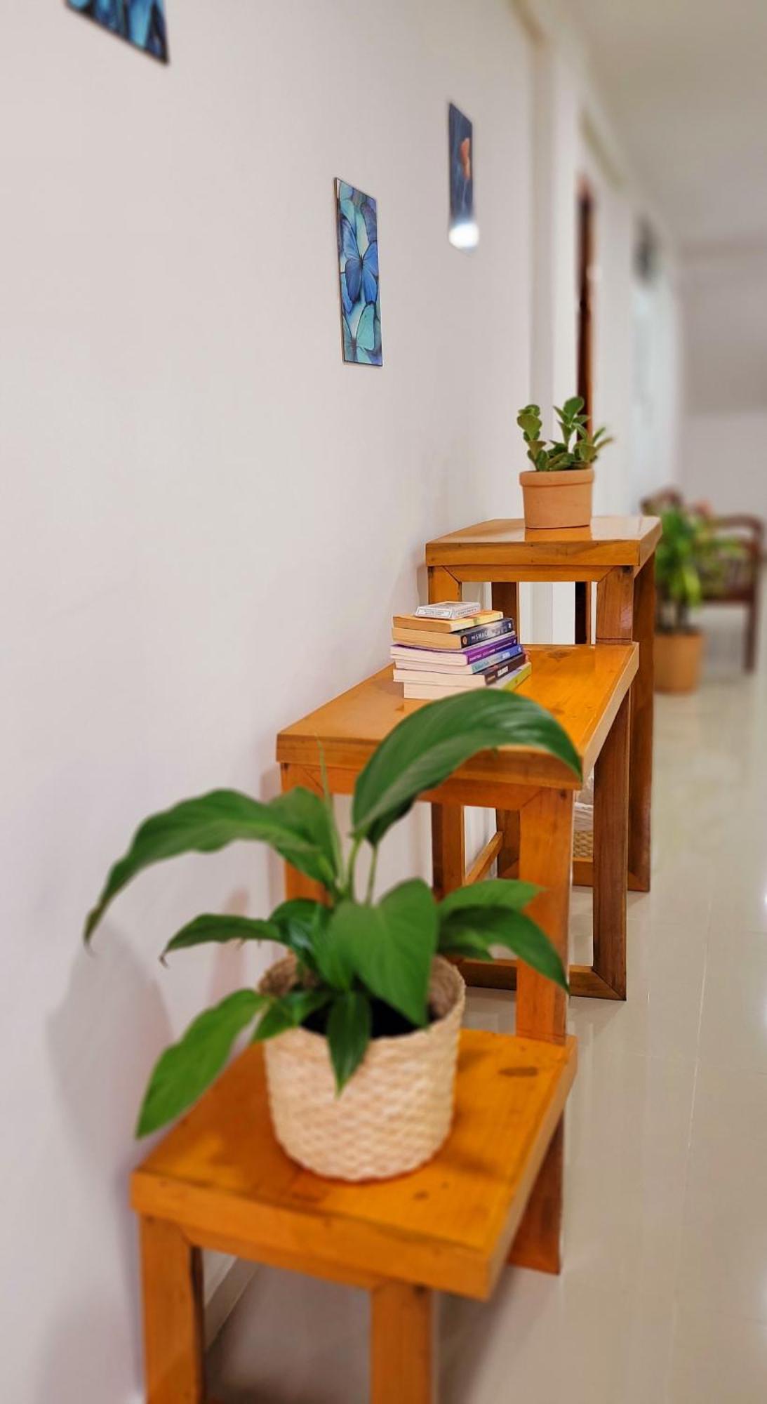 Praieira Hostel&Pousada Итакаре Экстерьер фото